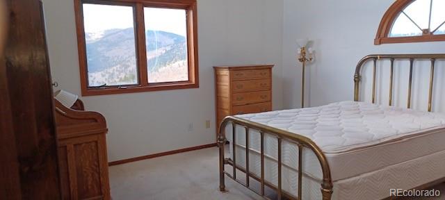 MLS Image #9 for 979  alpine way,idaho springs, Colorado