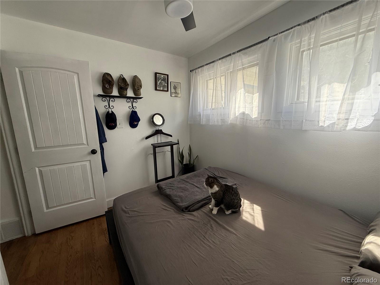 MLS Image #16 for 215  colorado boulevard,idaho springs, Colorado