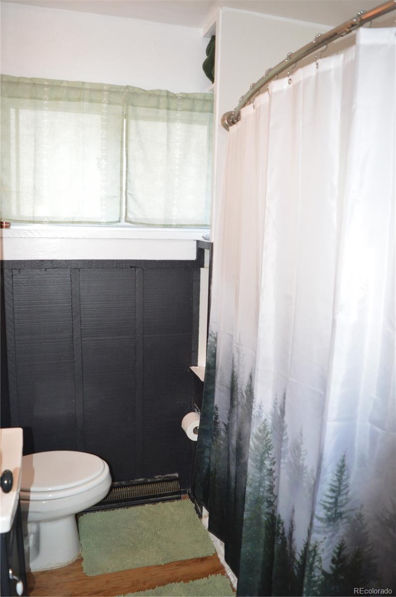 MLS Image #17 for 215  colorado boulevard,idaho springs, Colorado