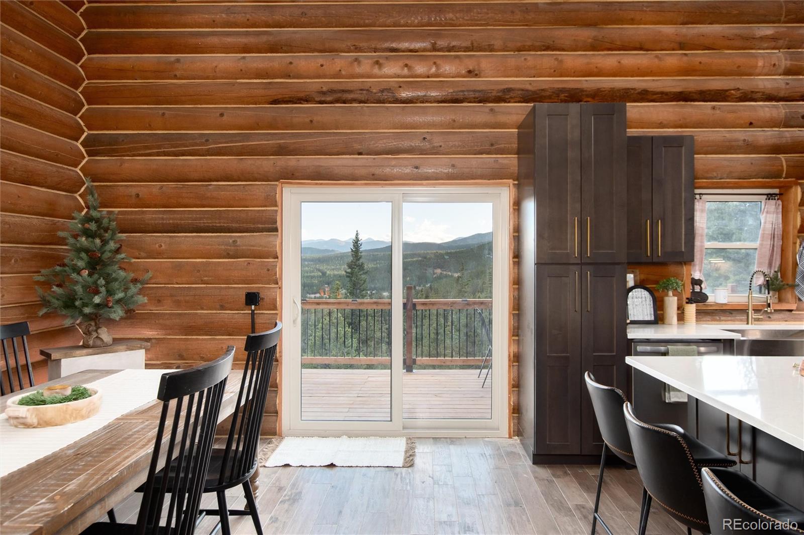 MLS Image #11 for 57  overlook court,idaho springs, Colorado