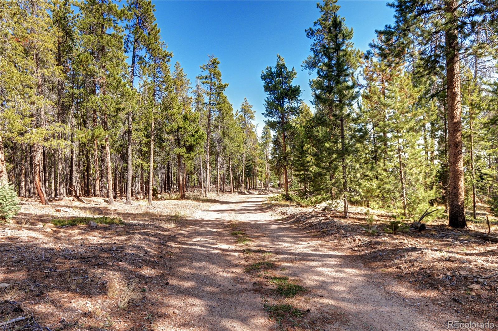 CMA Image for 9340 S Warhawk Road,Conifer, Colorado