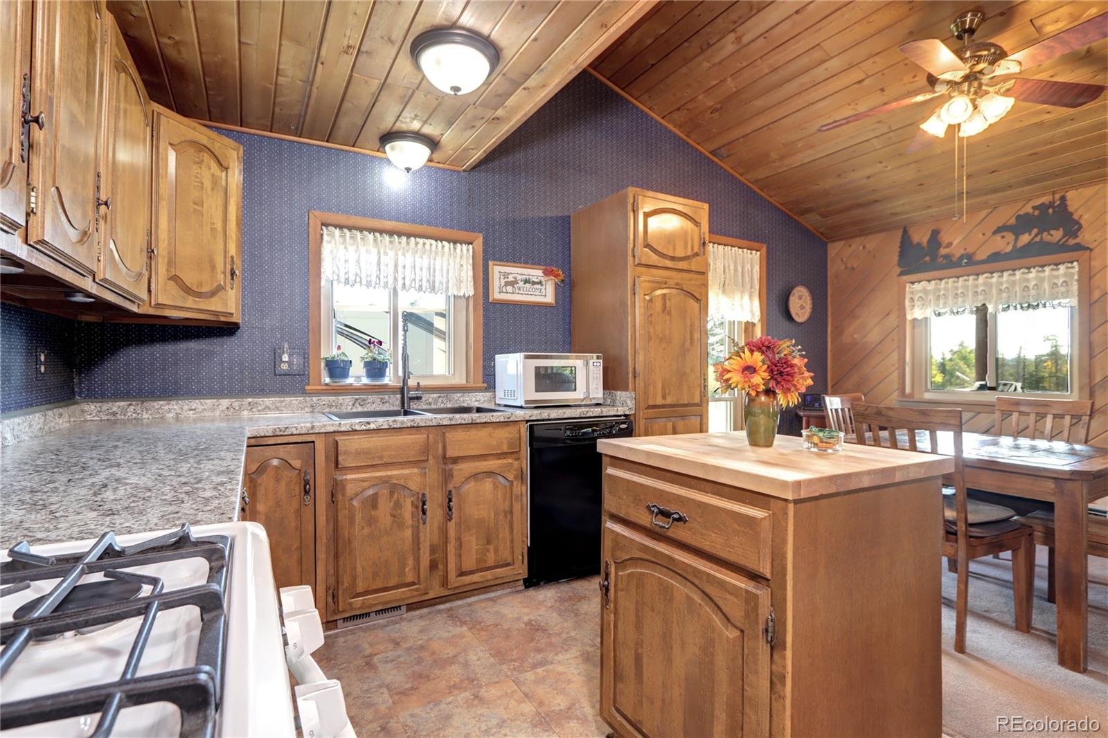 MLS Image #14 for 9340 s warhawk road,conifer, Colorado