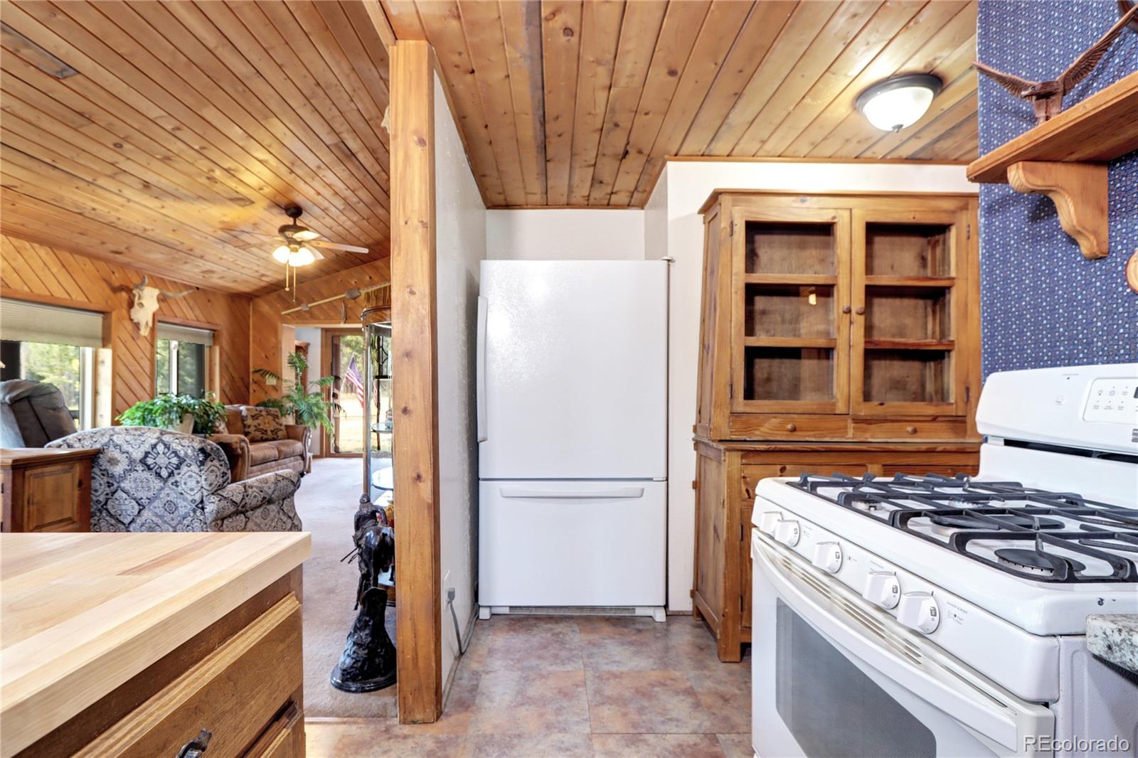 MLS Image #15 for 9340 s warhawk road,conifer, Colorado