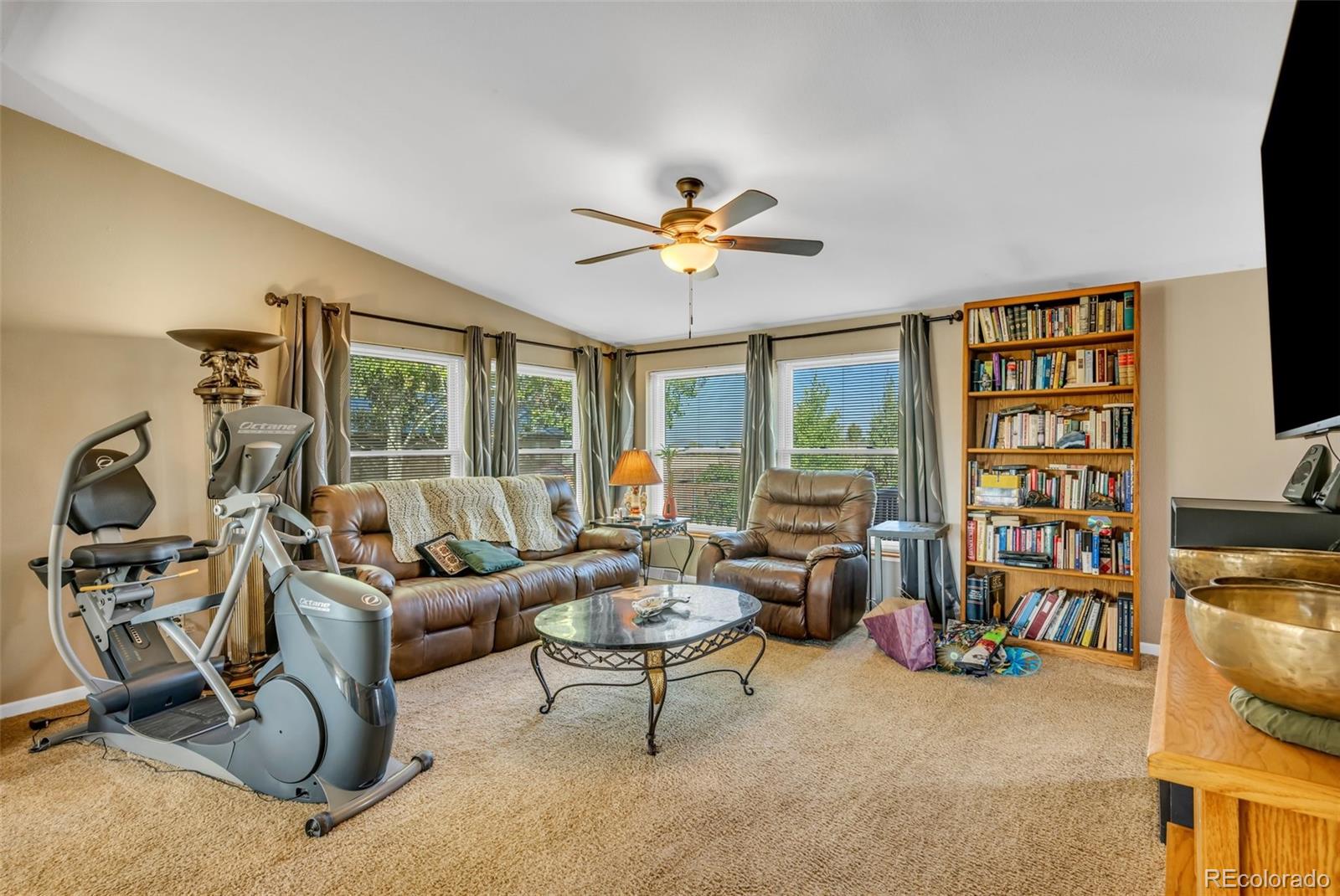 MLS Image #12 for 29  granada court,silver cliff, Colorado