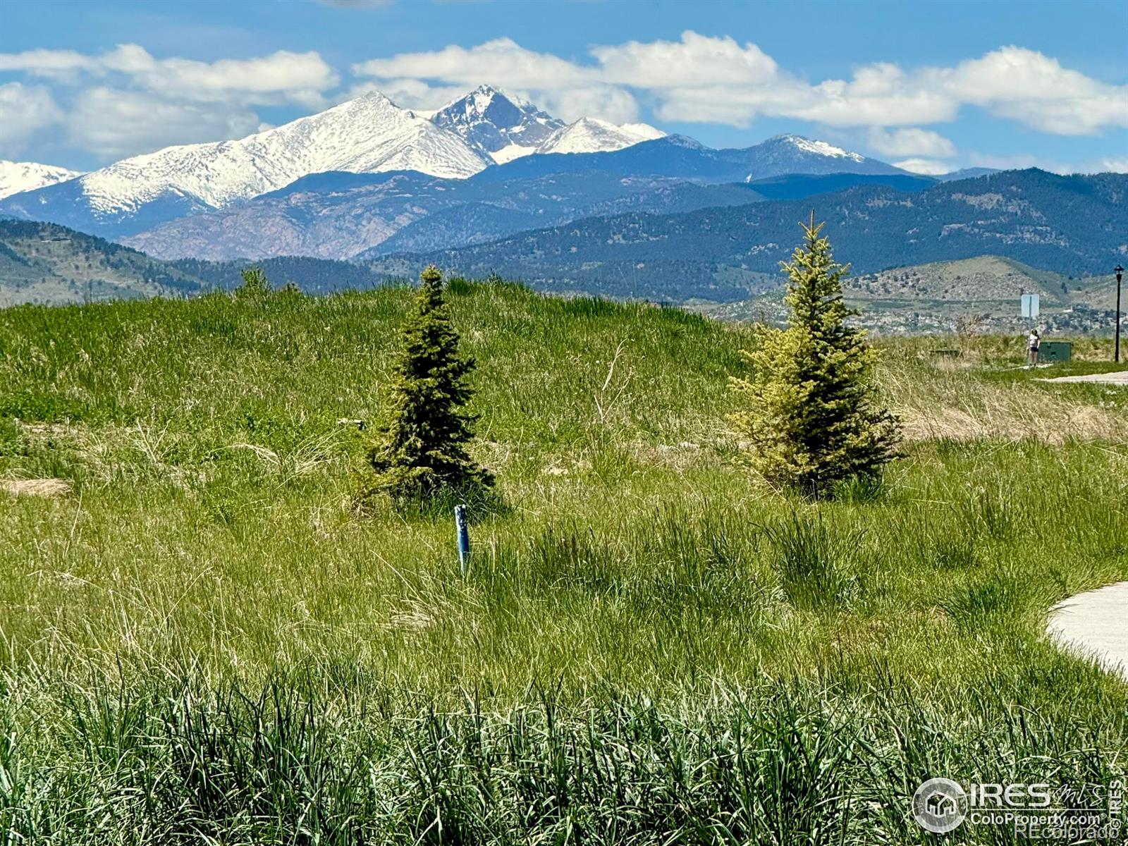 MLS Image #34 for 1563  stoneseed street,berthoud, Colorado