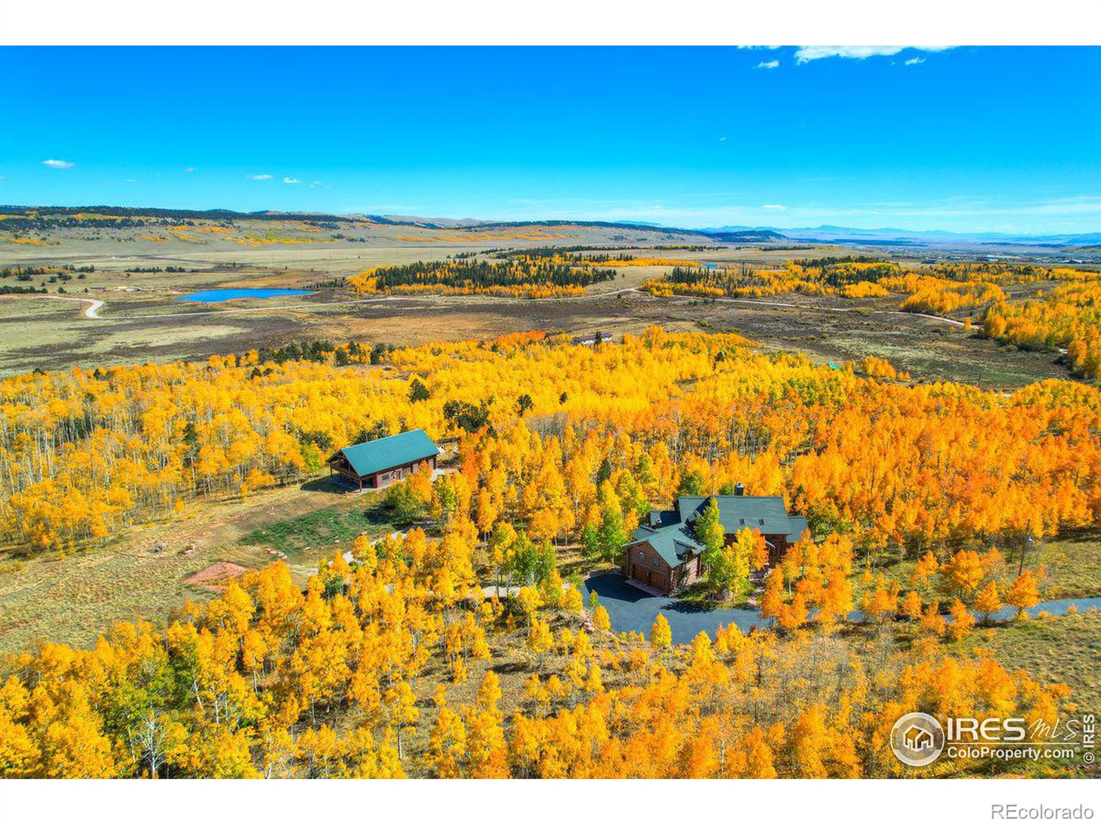 CMA Image for 252  Iron Mountain Road,Fairplay, Colorado