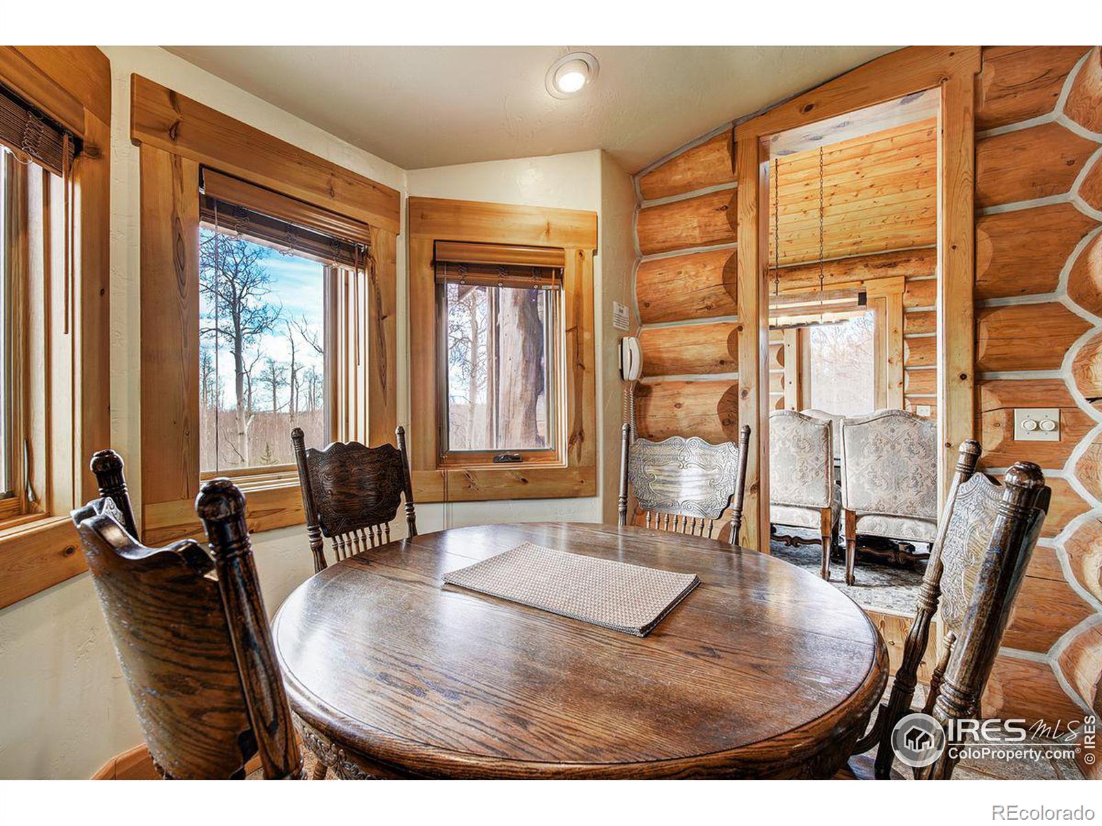 MLS Image #13 for 252  iron mountain road,fairplay, Colorado