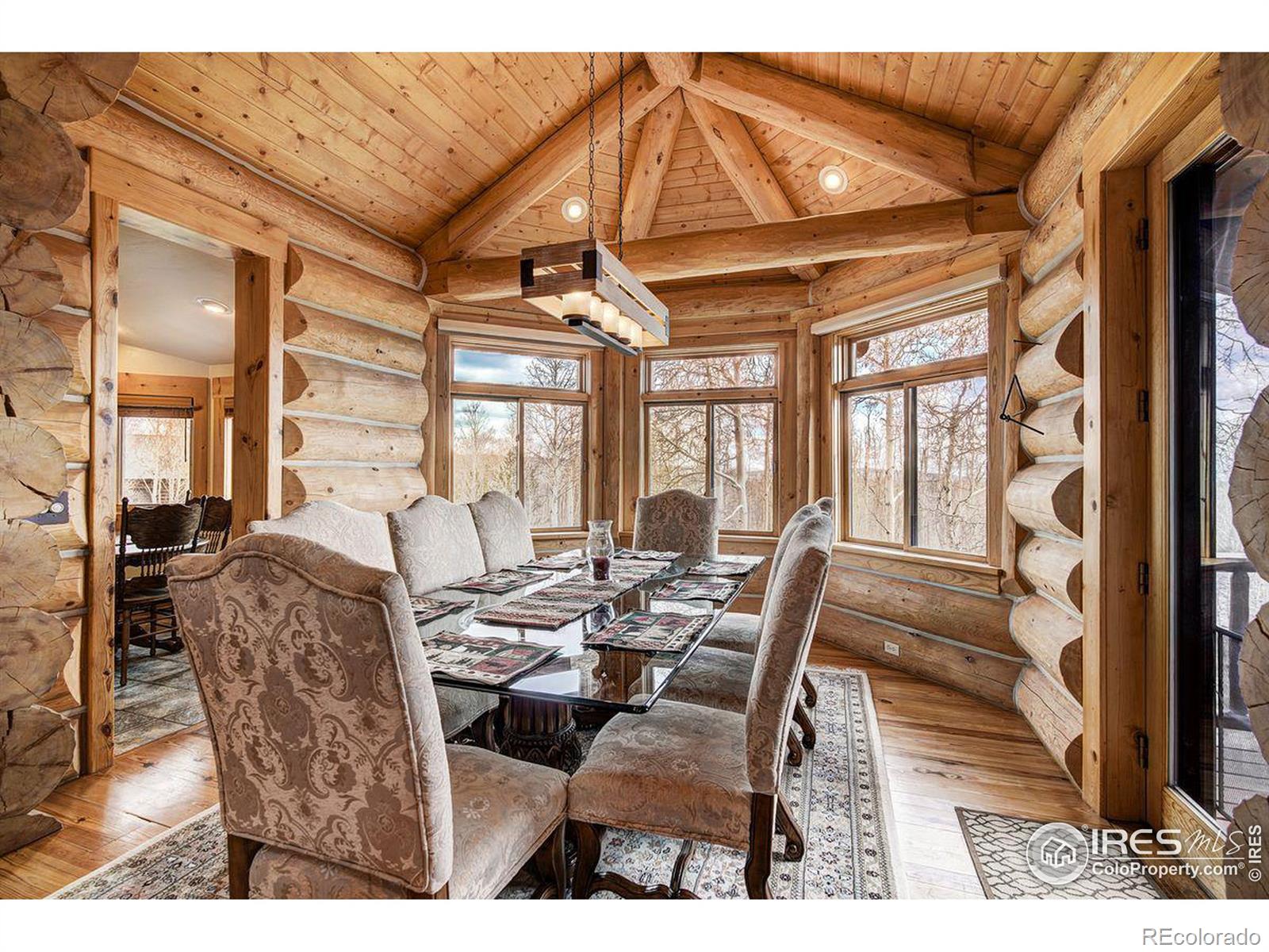 MLS Image #14 for 252  iron mountain road,fairplay, Colorado