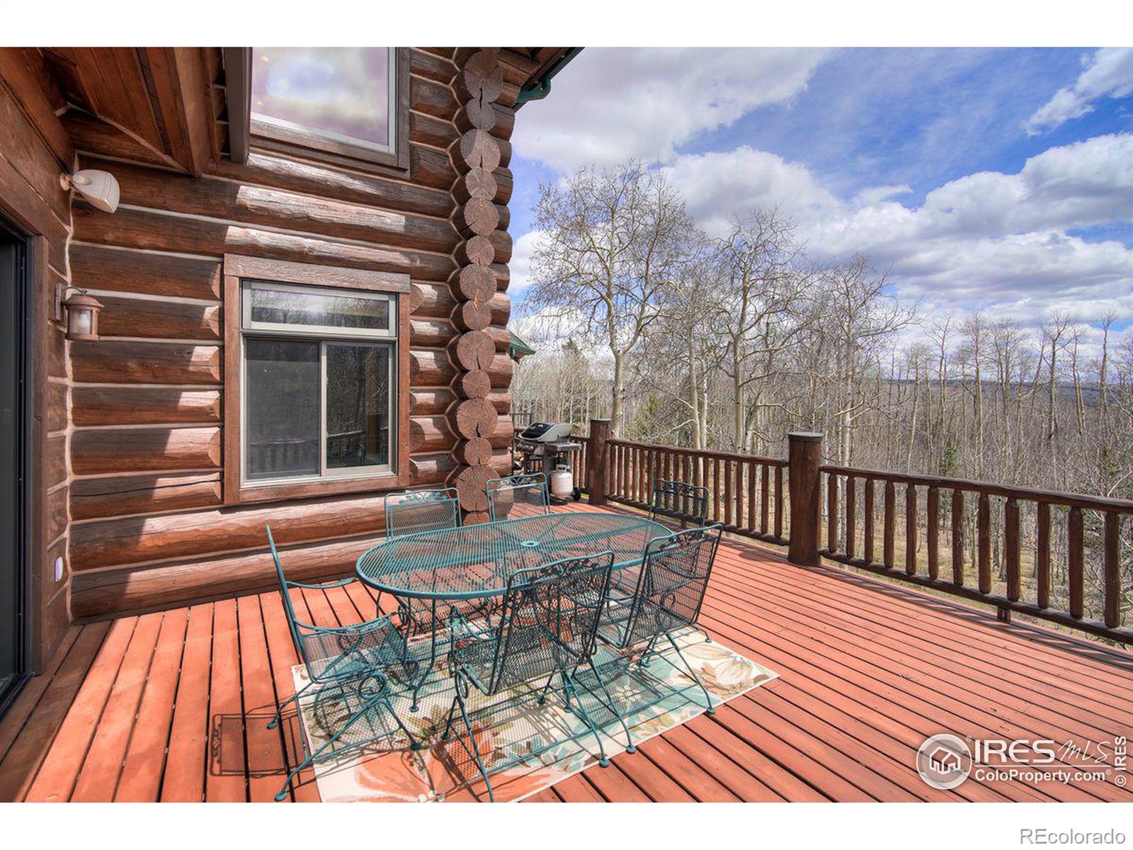 MLS Image #17 for 252  iron mountain road,fairplay, Colorado