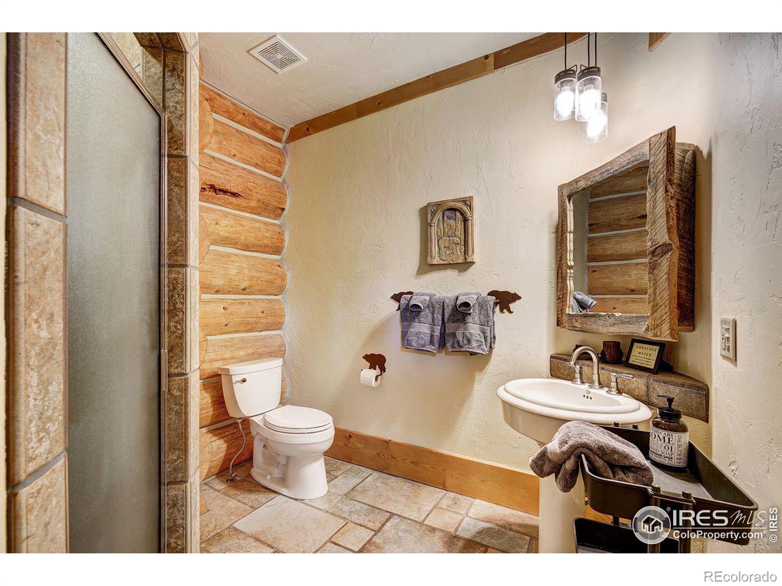 MLS Image #19 for 252  iron mountain road,fairplay, Colorado