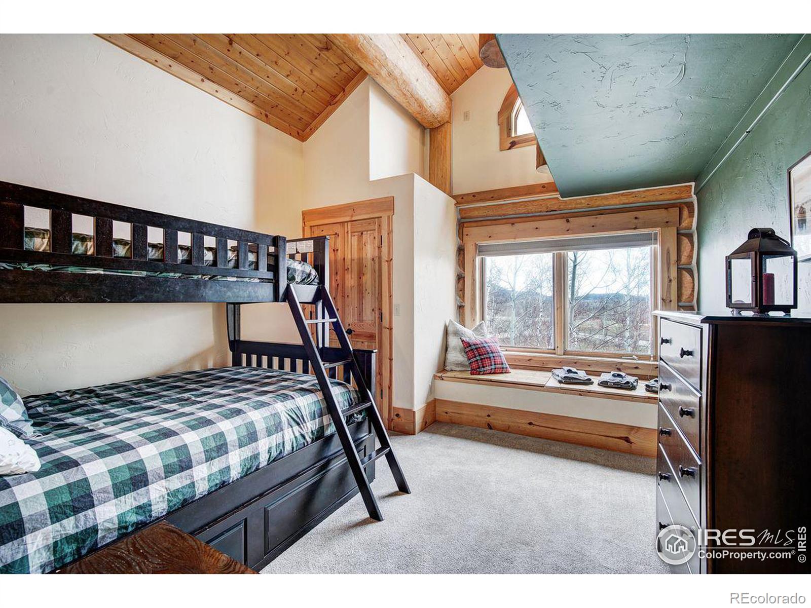 MLS Image #20 for 252  iron mountain road,fairplay, Colorado