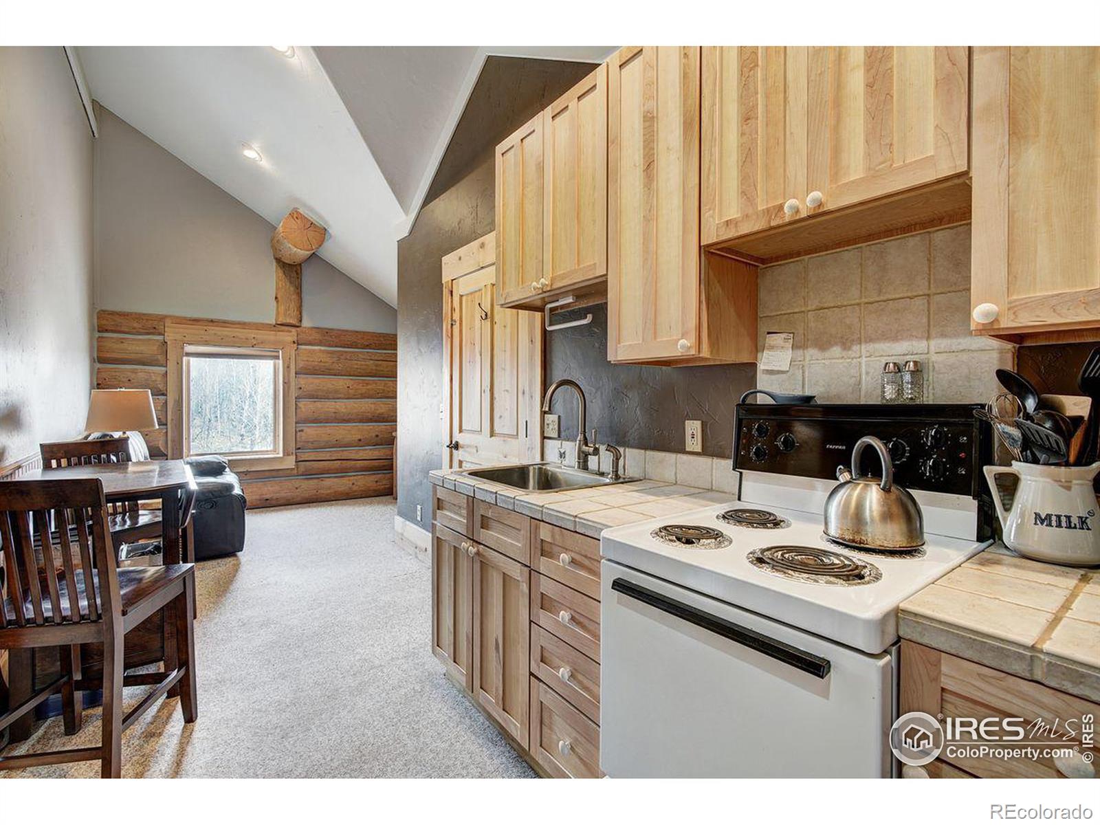 MLS Image #25 for 252  iron mountain road,fairplay, Colorado