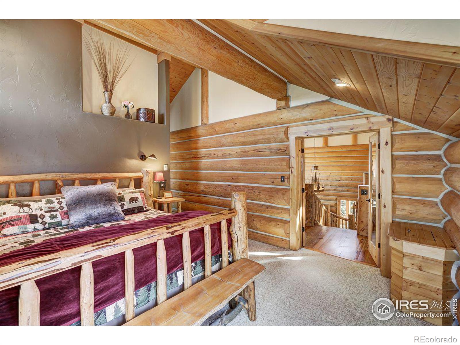 MLS Image #26 for 252  iron mountain road,fairplay, Colorado