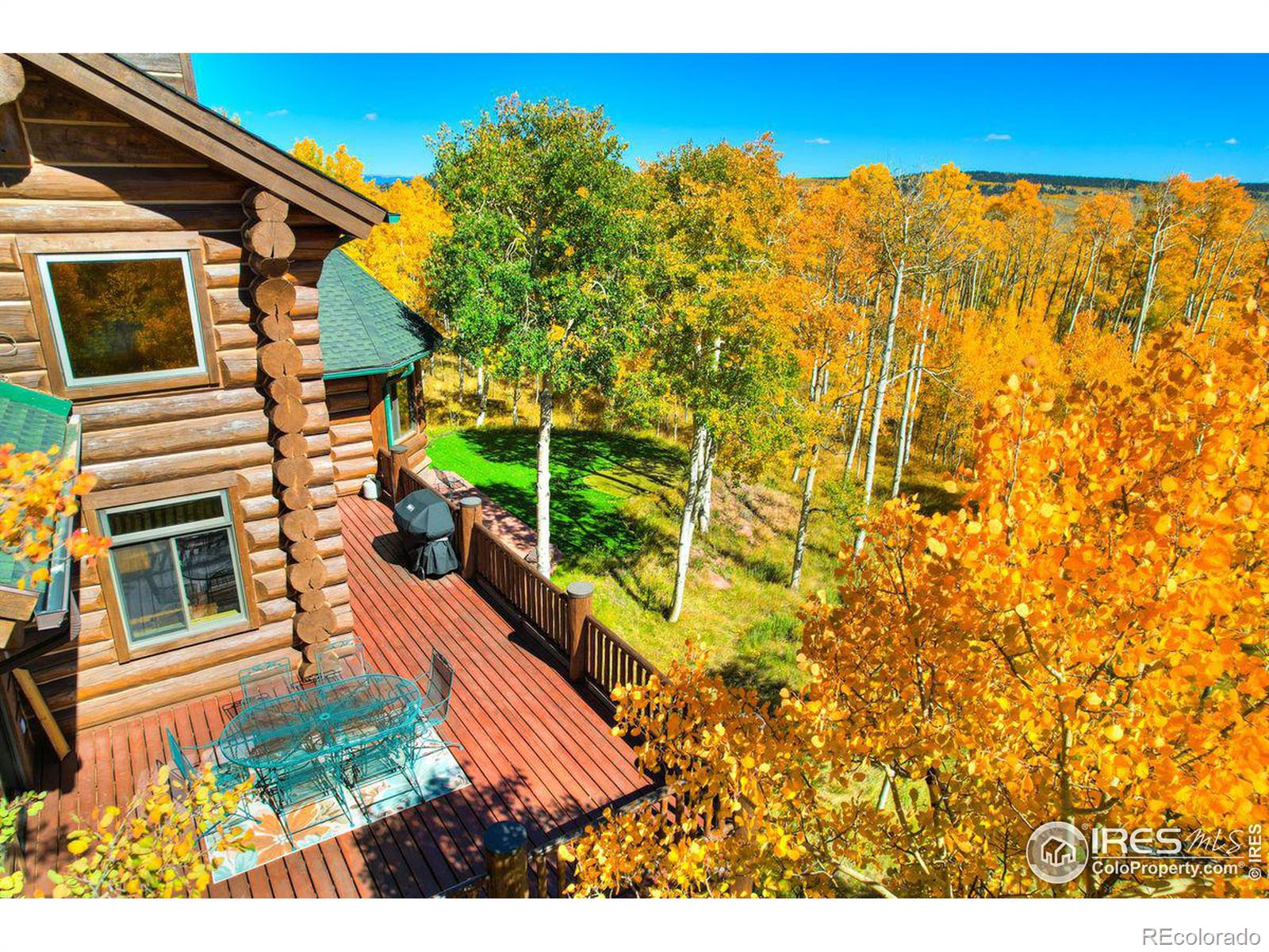 MLS Image #3 for 252  iron mountain road,fairplay, Colorado