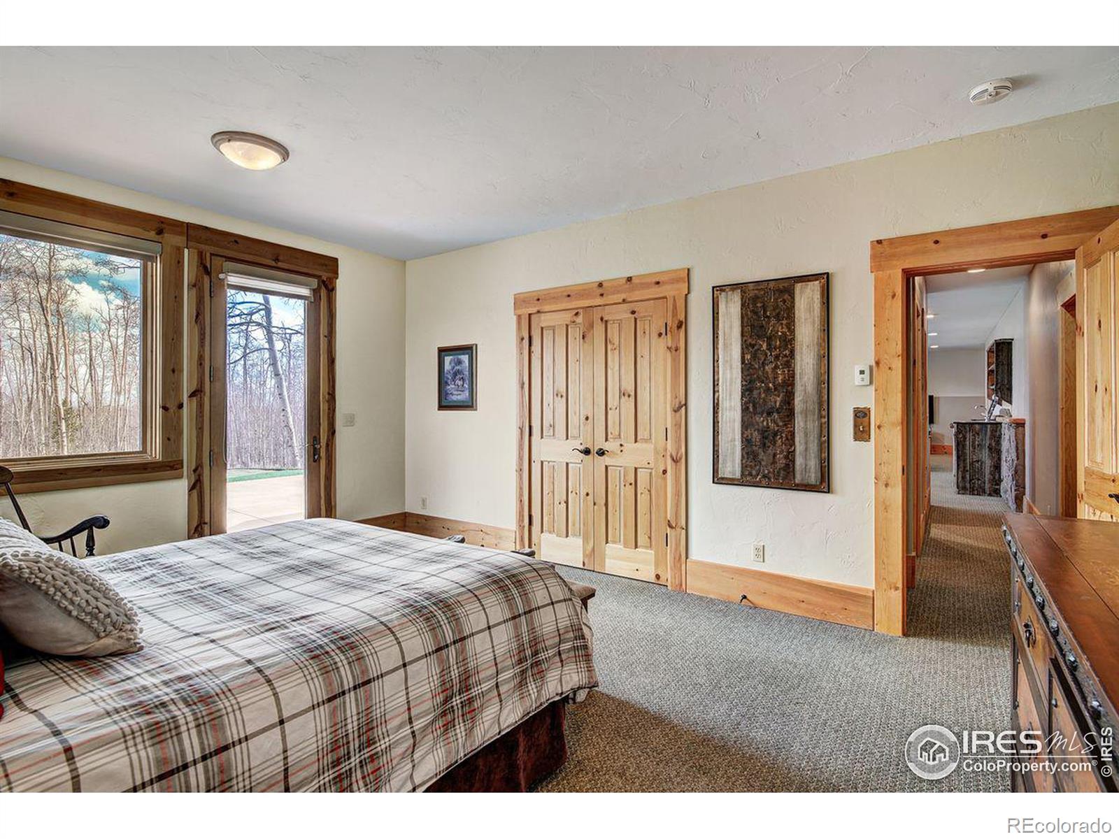 MLS Image #31 for 252  iron mountain road,fairplay, Colorado