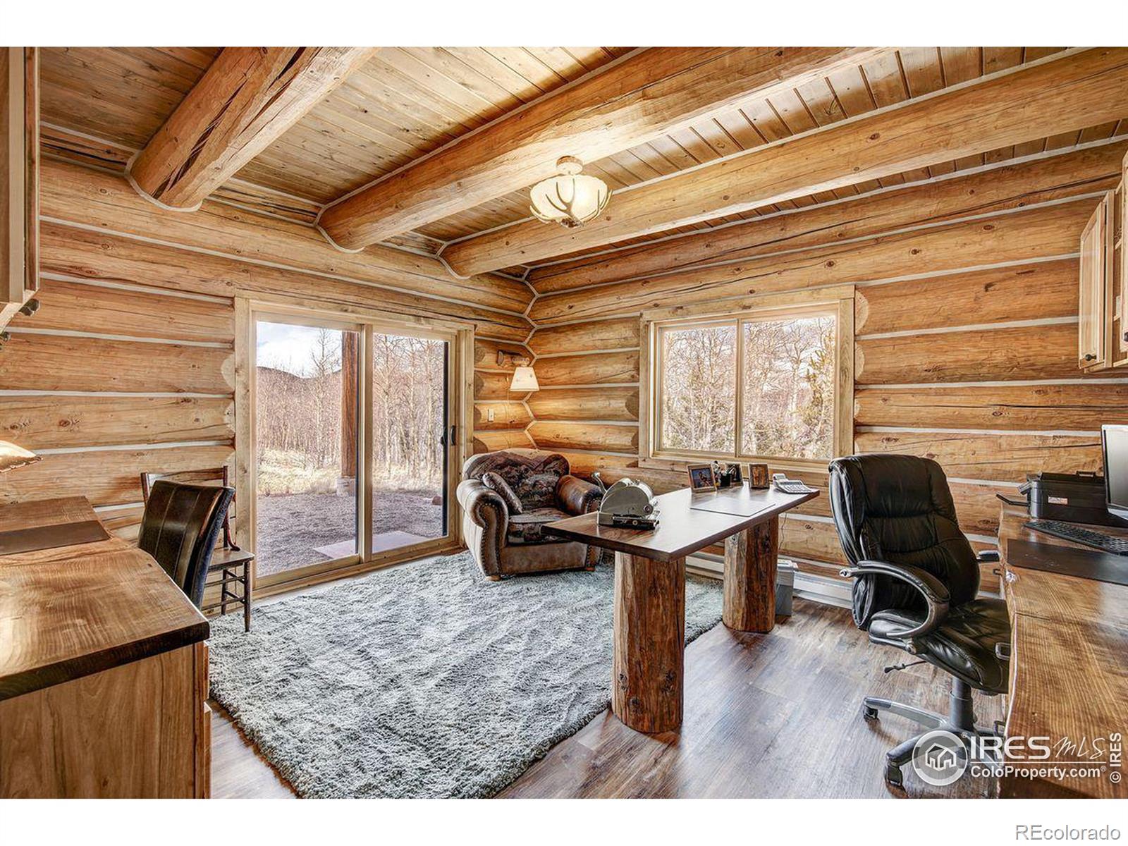 MLS Image #35 for 252  iron mountain road,fairplay, Colorado