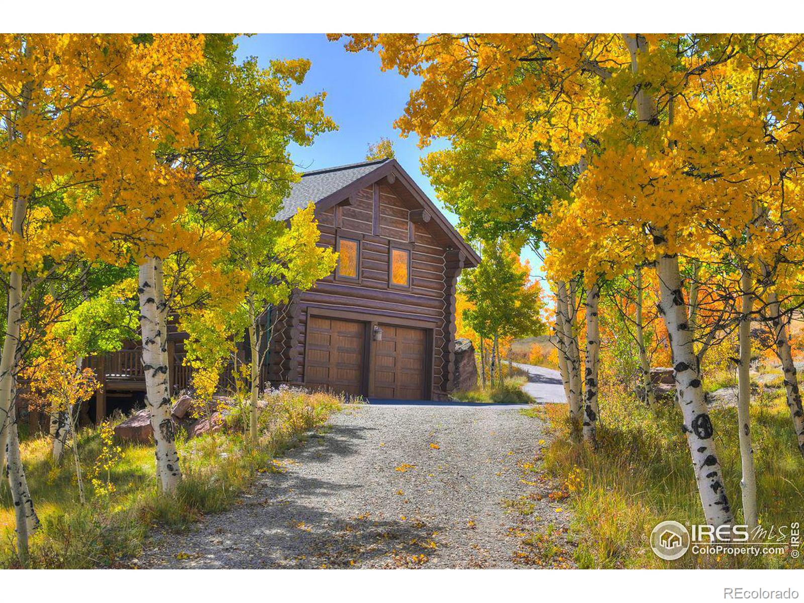 MLS Image #4 for 252  iron mountain road,fairplay, Colorado