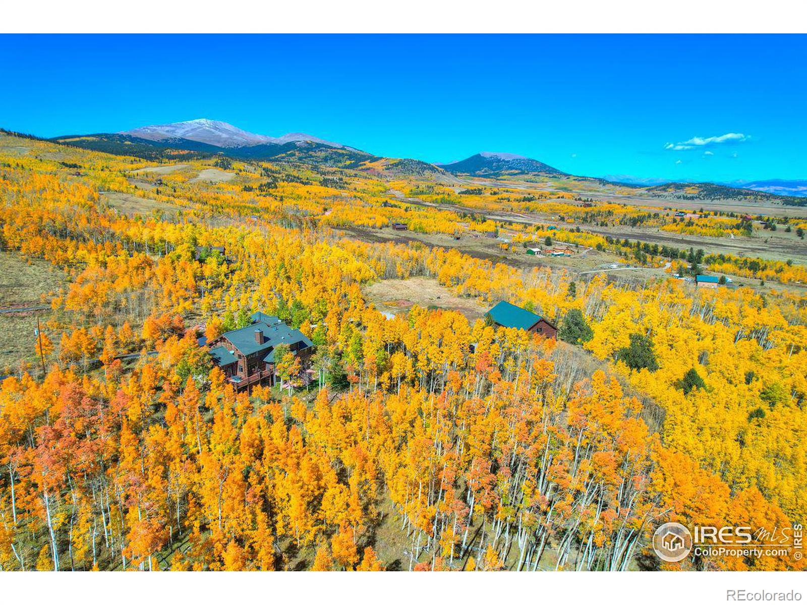 MLS Image #5 for 252  iron mountain road,fairplay, Colorado