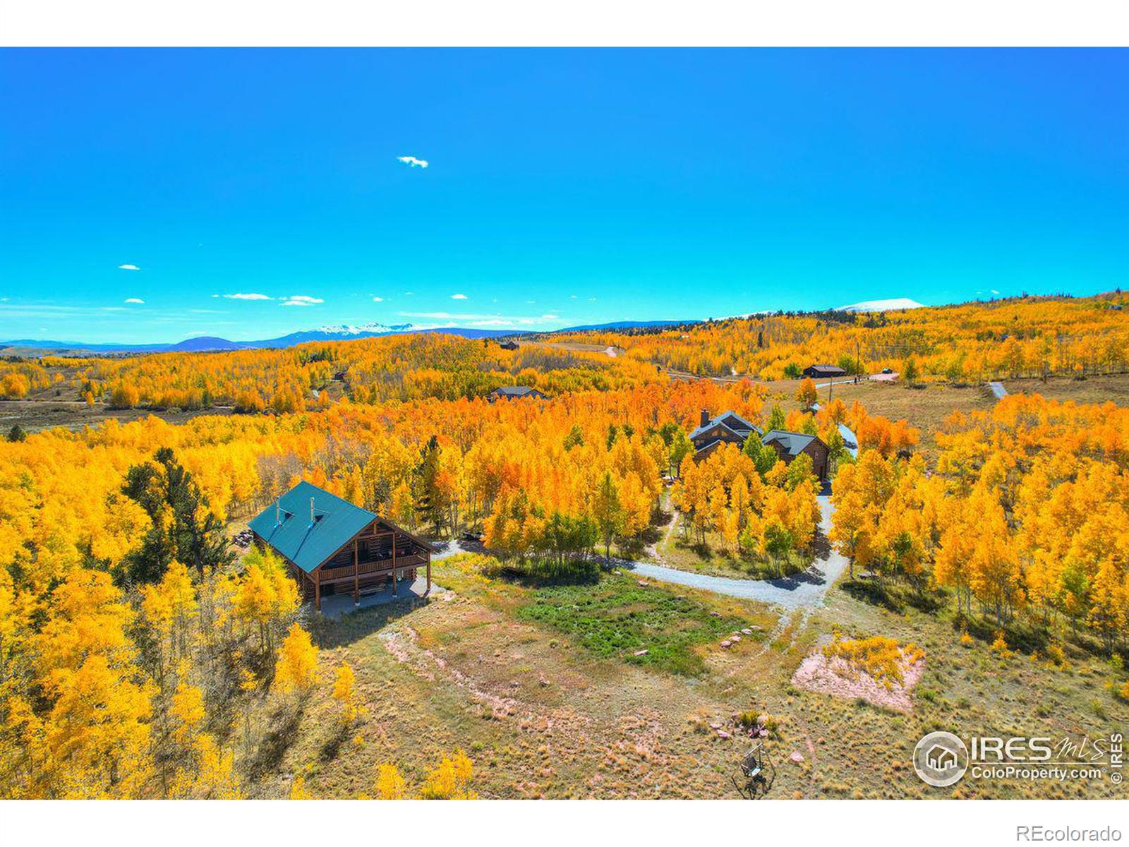 MLS Image #6 for 252  iron mountain road,fairplay, Colorado