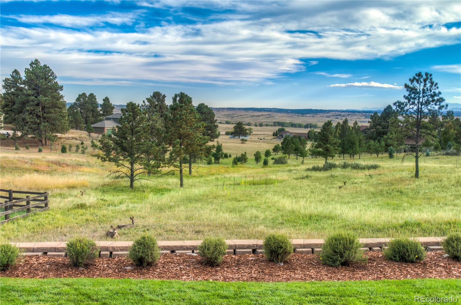 MLS Image #37 for 9178  windhaven drive,parker, Colorado