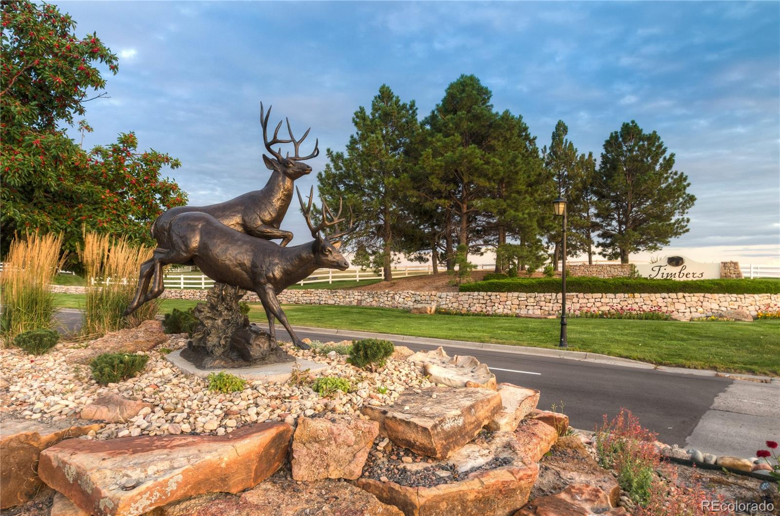 MLS Image #39 for 9178  windhaven drive,parker, Colorado