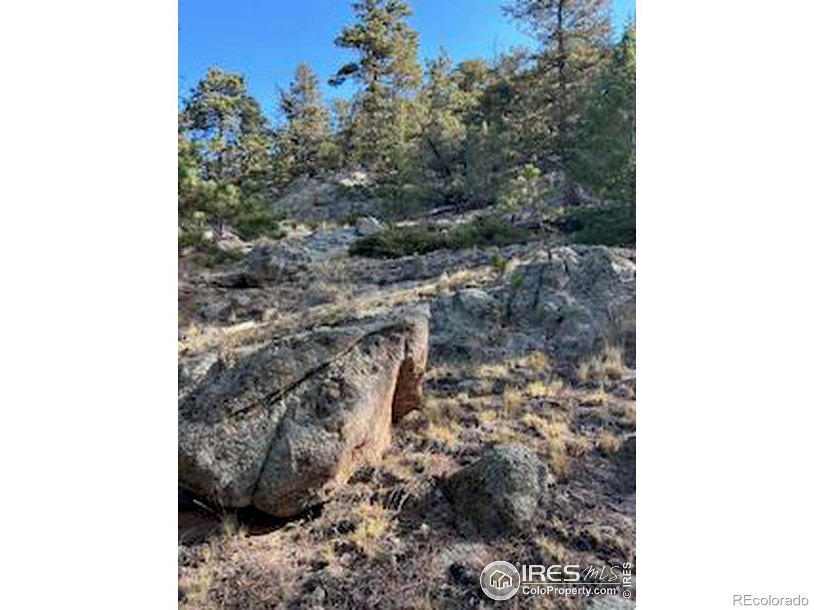 MLS Image #4 for 1123  pine tree drive,estes park, Colorado