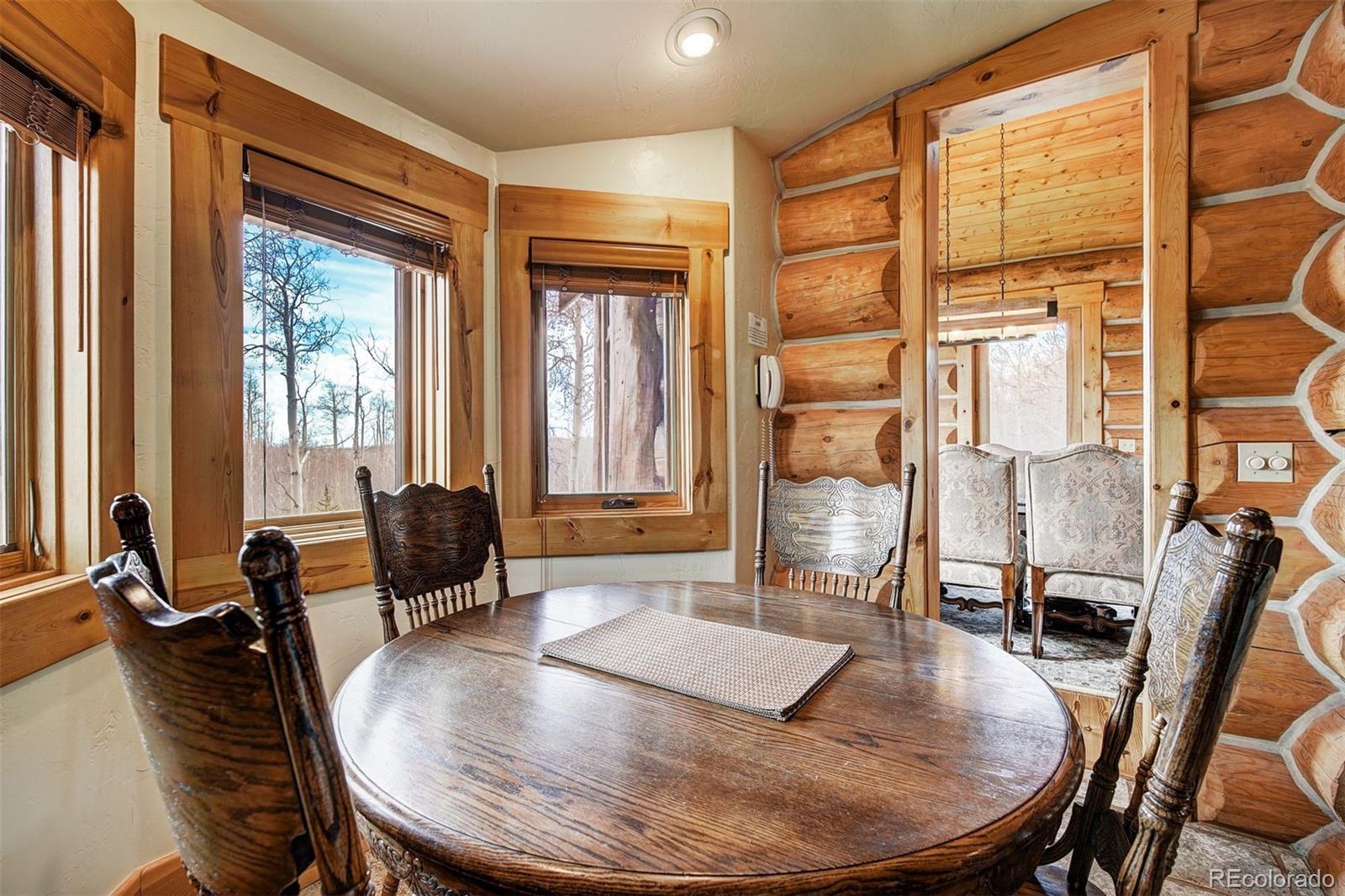 MLS Image #15 for 252  iron mountain road,fairplay, Colorado