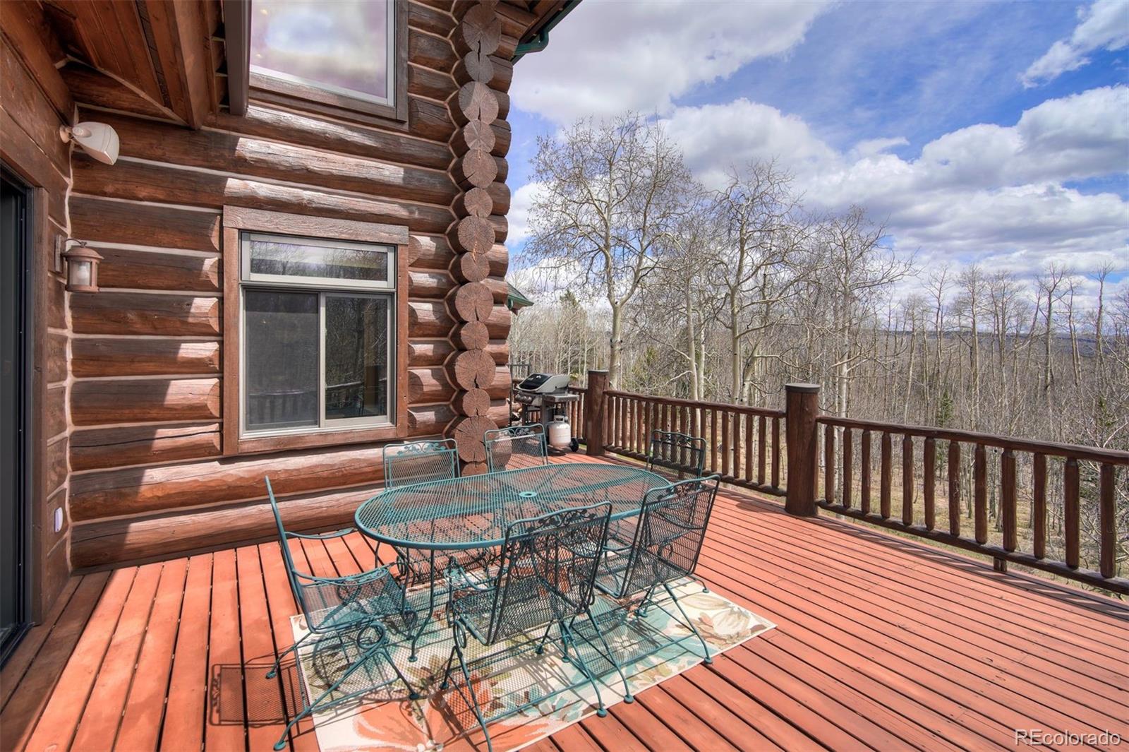 MLS Image #19 for 252  iron mountain road,fairplay, Colorado