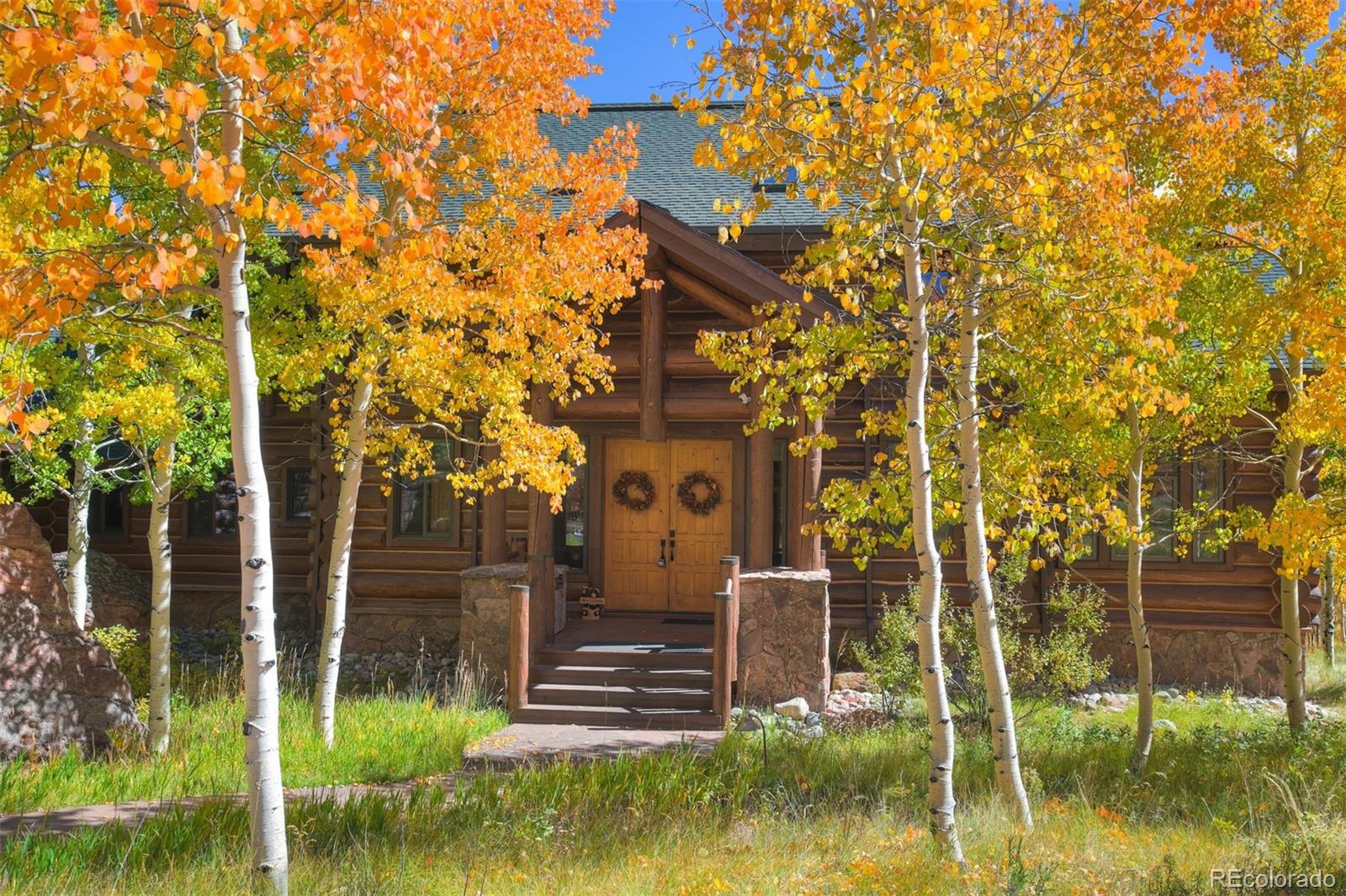 MLS Image #3 for 252  iron mountain road,fairplay, Colorado