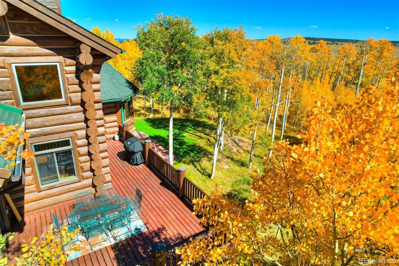 MLS Image #4 for 252  iron mountain road,fairplay, Colorado