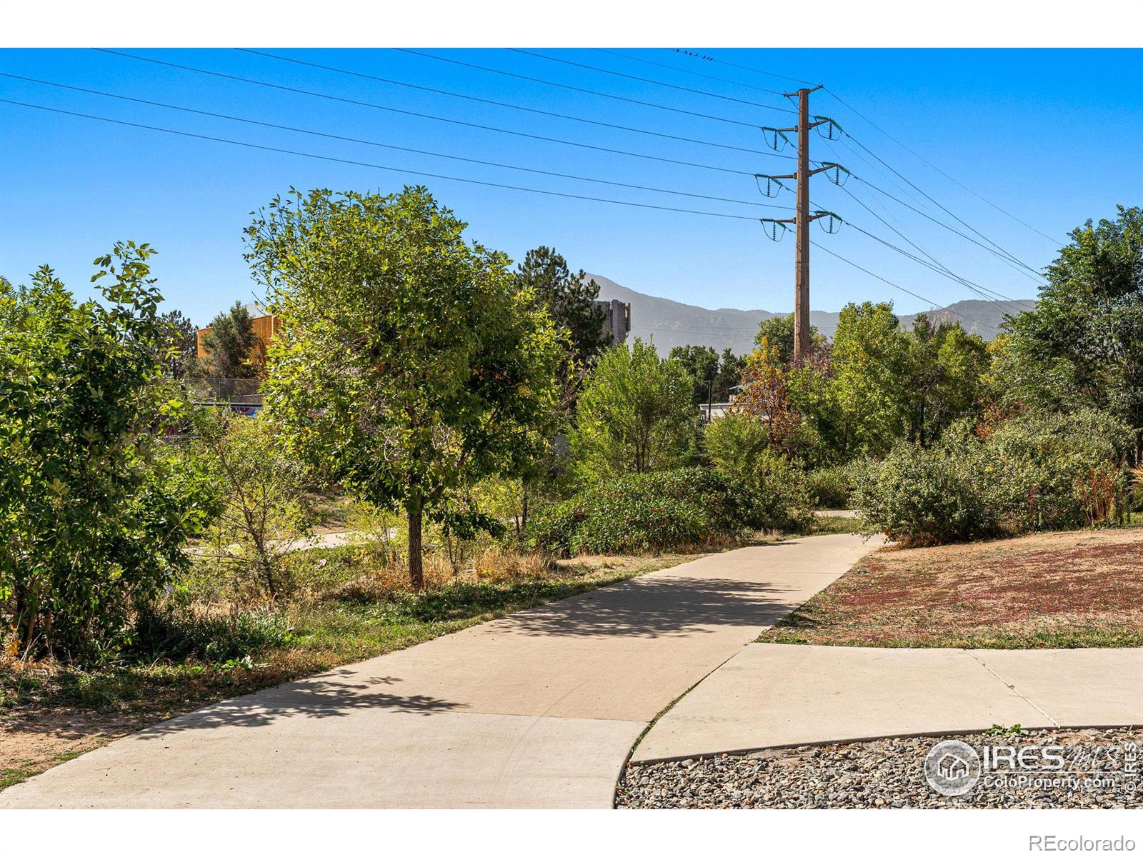 MLS Image #19 for 2910  bluff street,boulder, Colorado