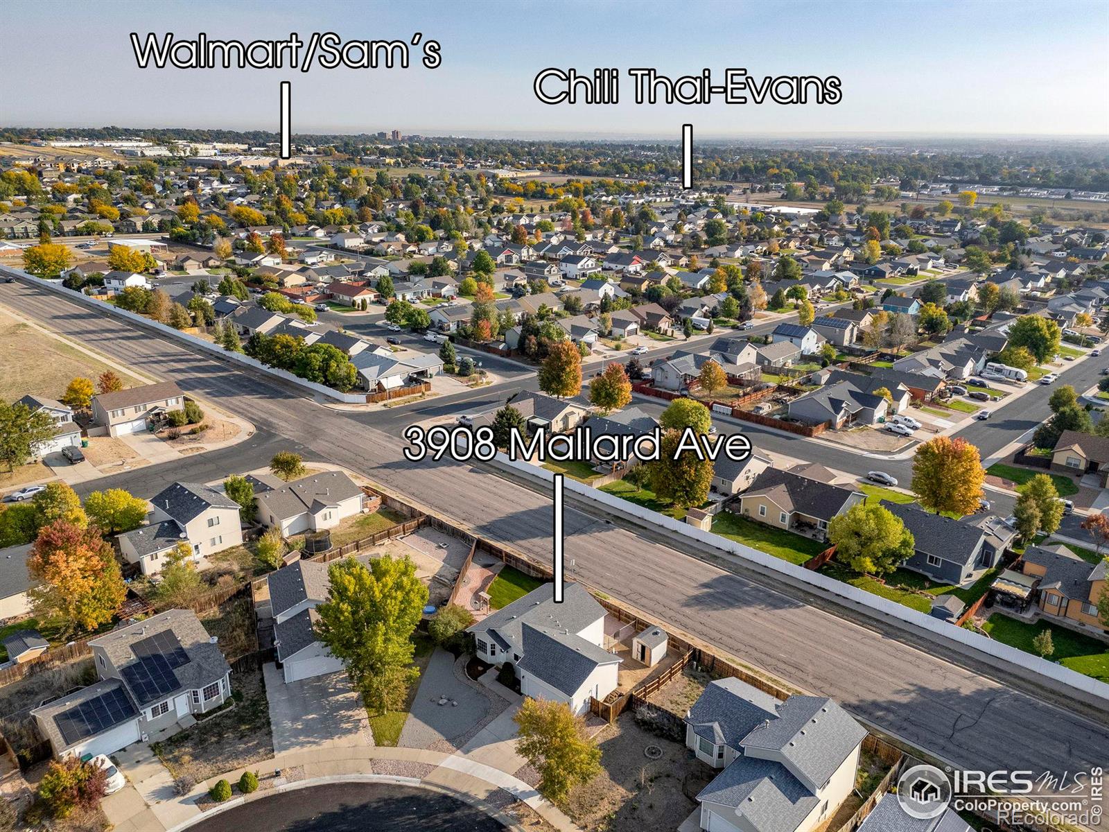 MLS Image #38 for 3908  mallard avenue,evans, Colorado