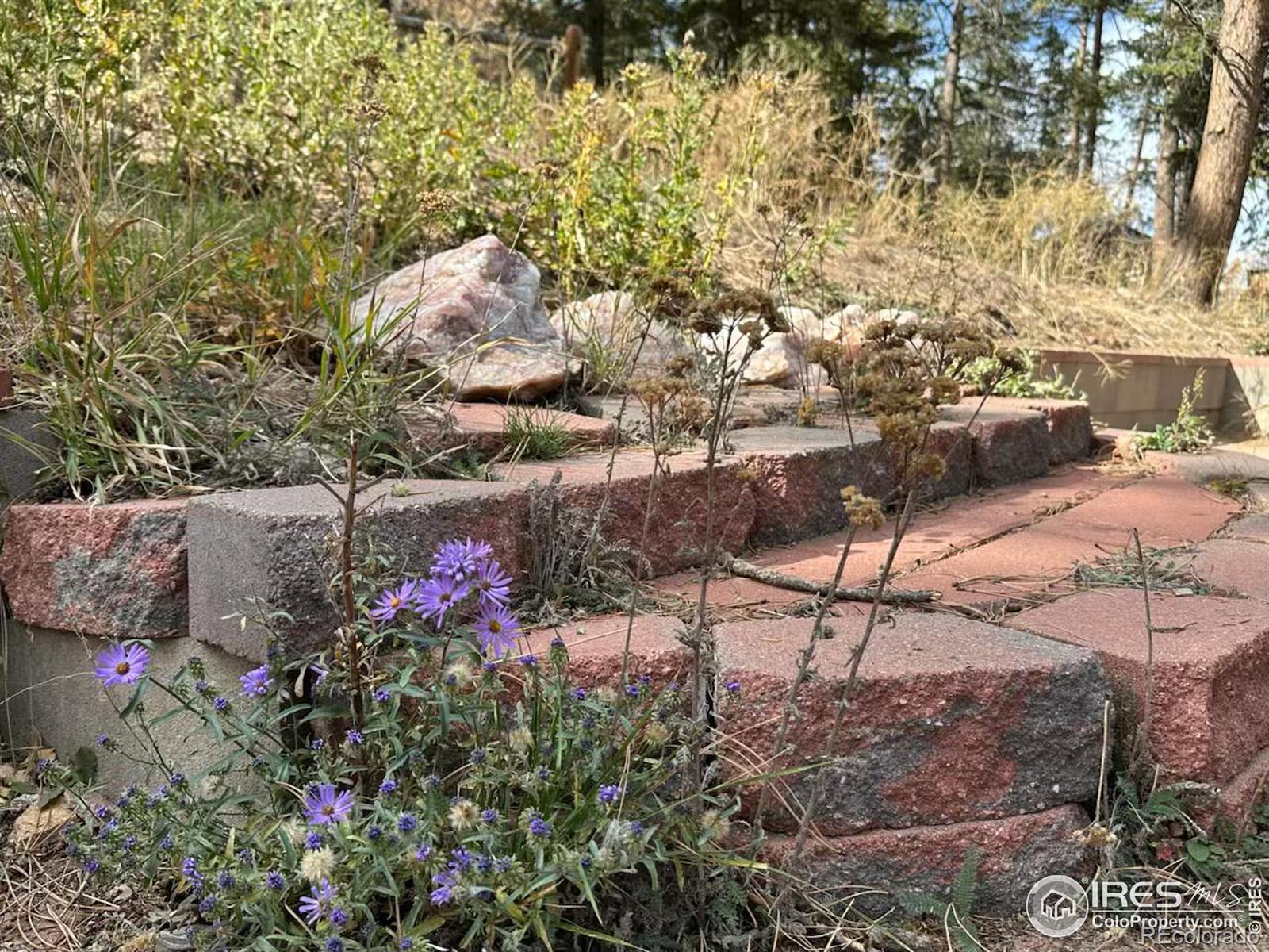 MLS Image #34 for 551  county road 67j ,red feather lakes, Colorado