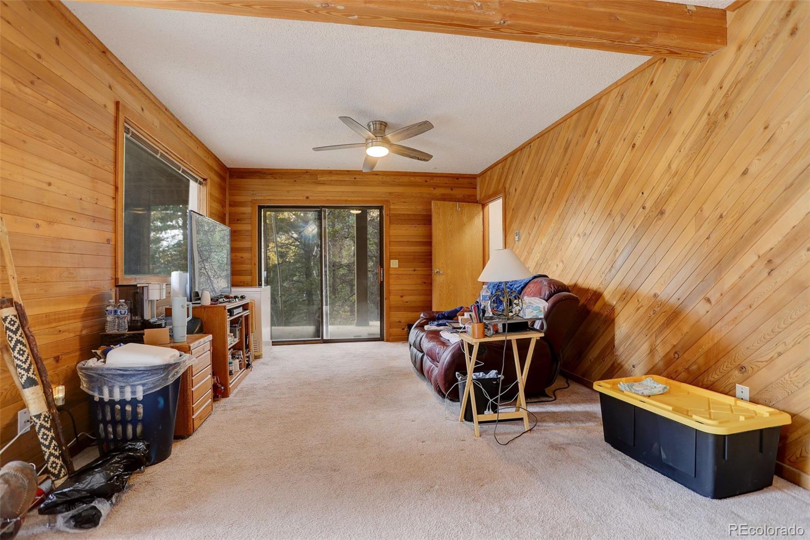 MLS Image #13 for 11231  marks drive,conifer, Colorado