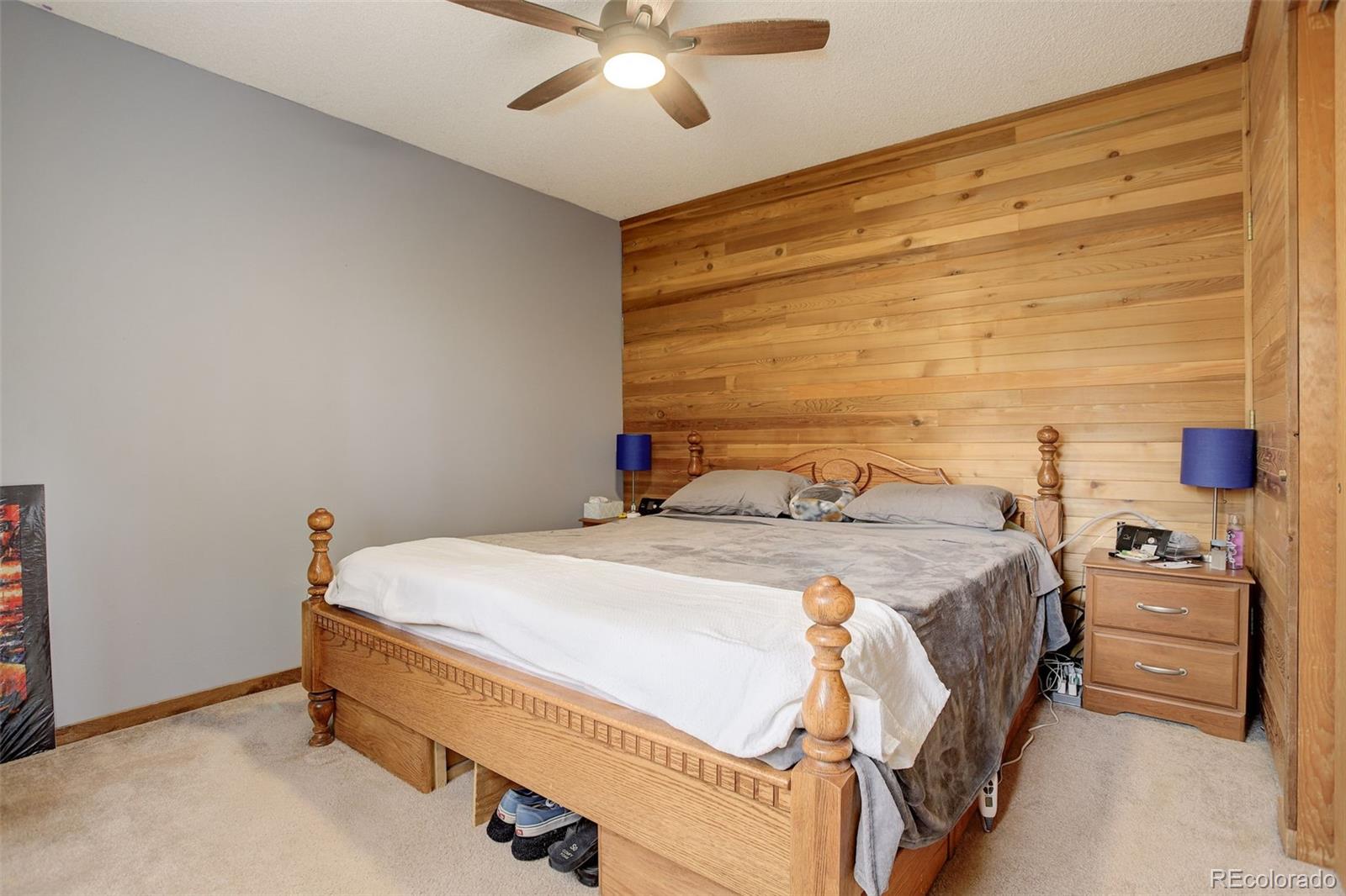 MLS Image #21 for 11231  marks drive,conifer, Colorado