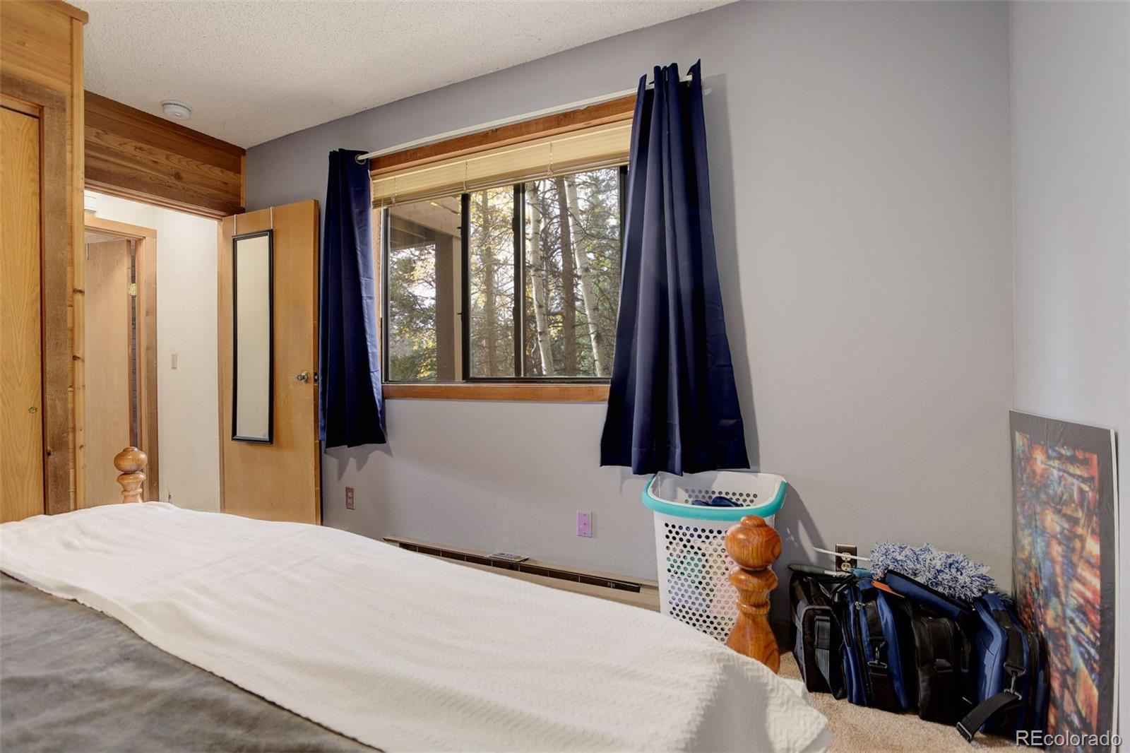 MLS Image #22 for 11231  marks drive,conifer, Colorado