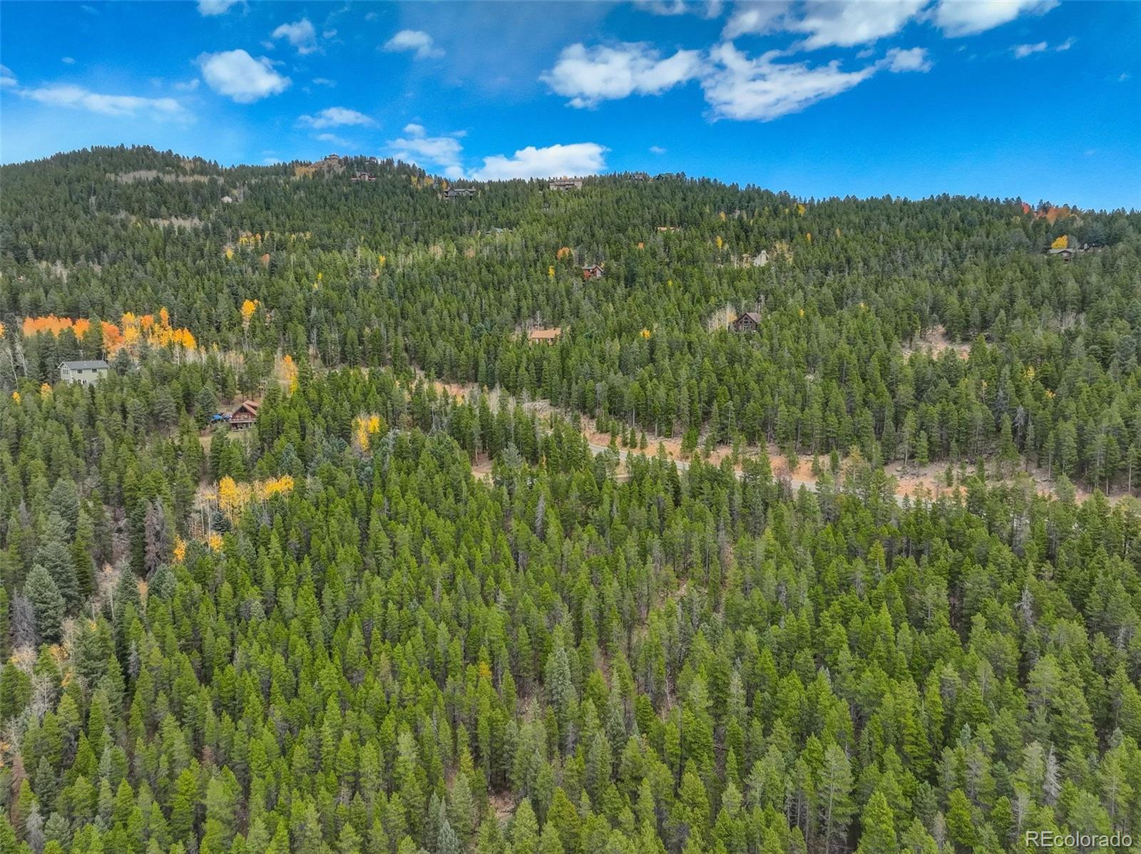 MLS Image #29 for 11231  marks drive,conifer, Colorado