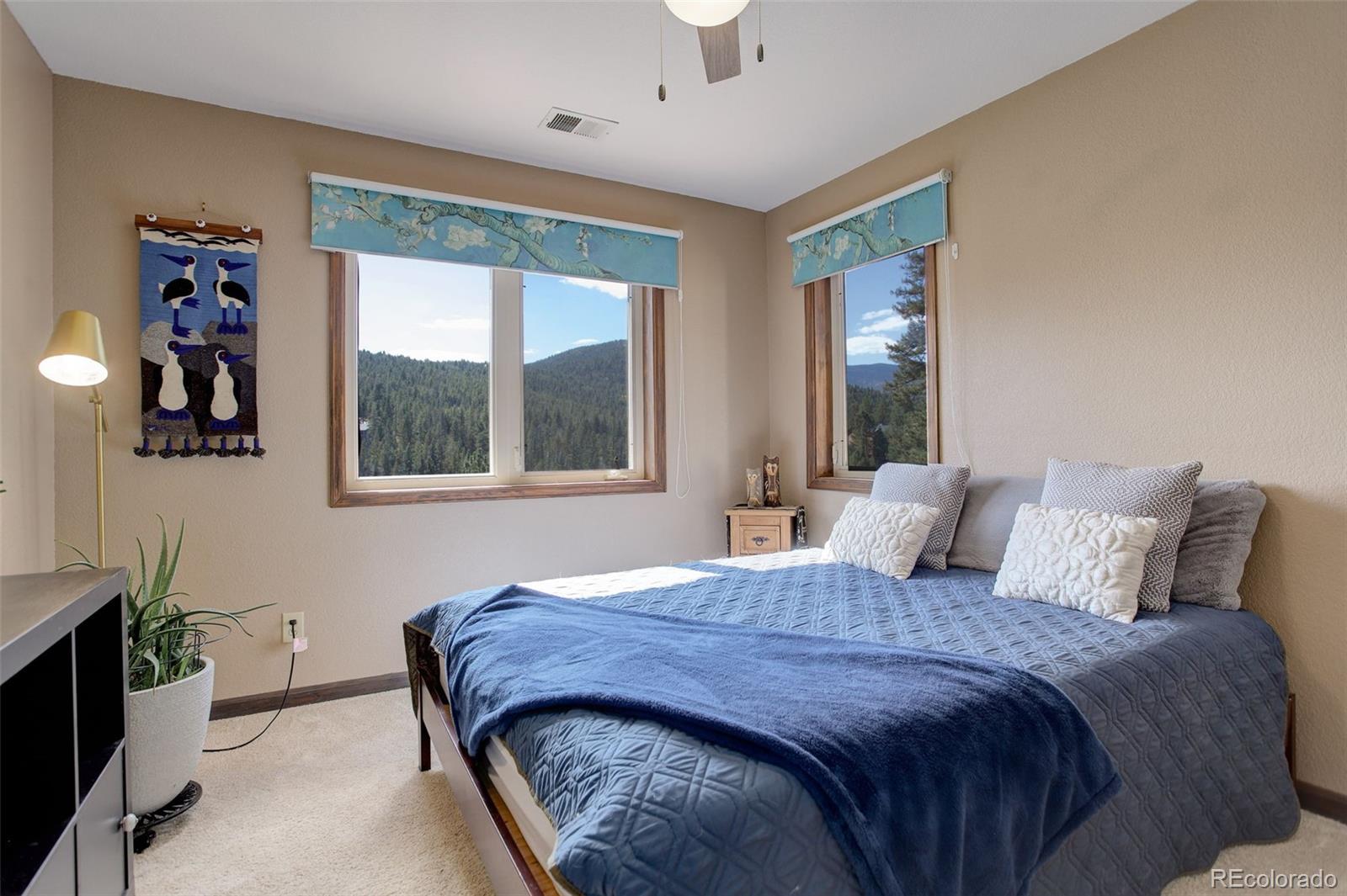 MLS Image #28 for 6994  sprucedale park way,evergreen, Colorado