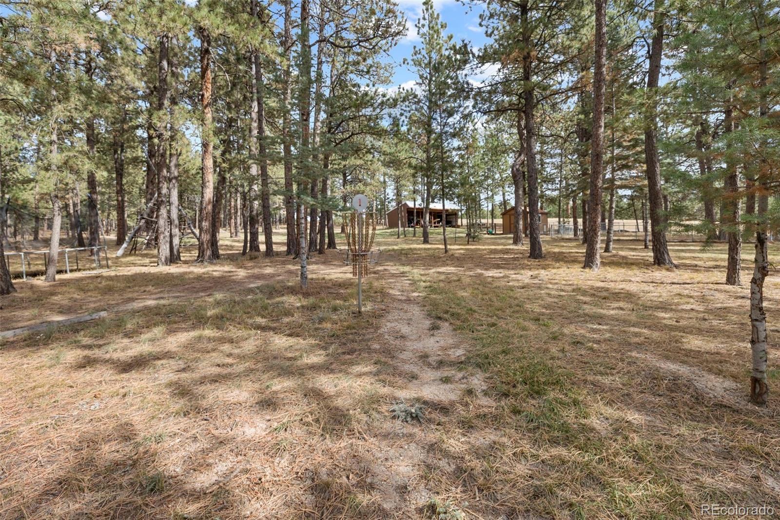 MLS Image #42 for 10760  hardy road,colorado springs, Colorado