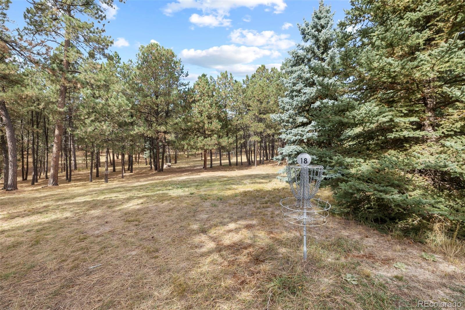 MLS Image #47 for 10760  hardy road,colorado springs, Colorado