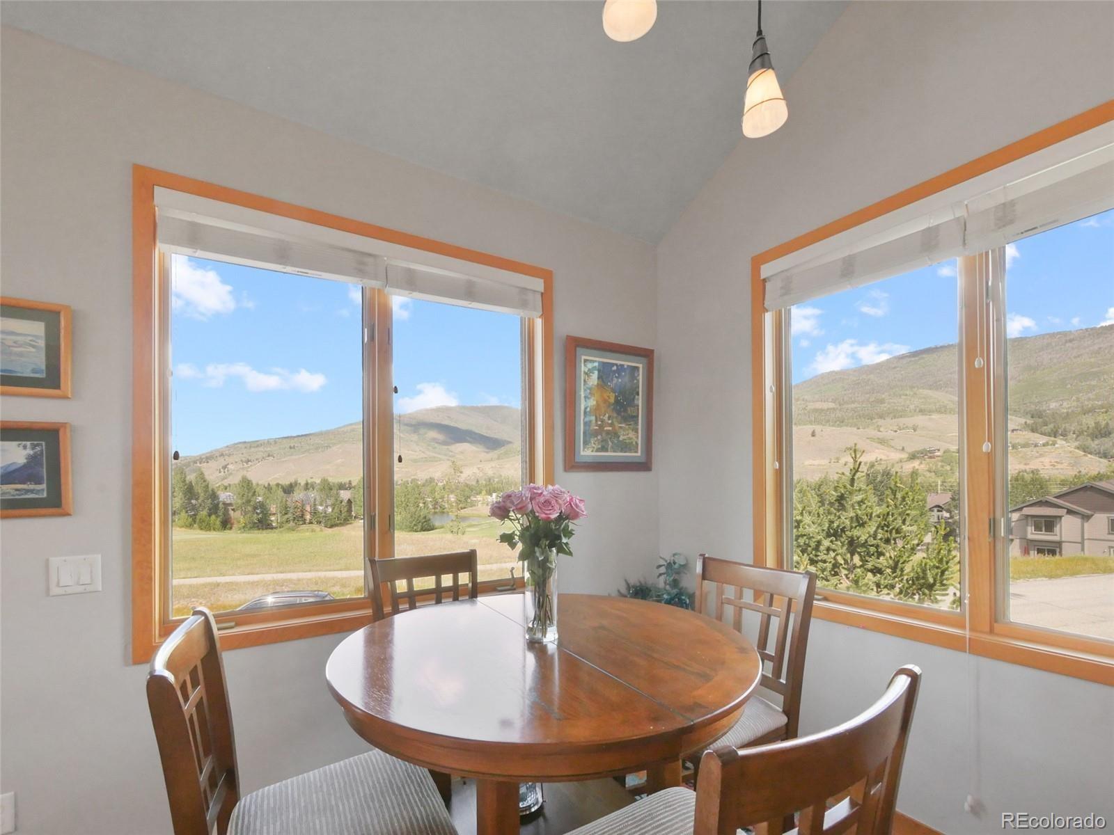 MLS Image #9 for 401  kestrel lane,silverthorne, Colorado