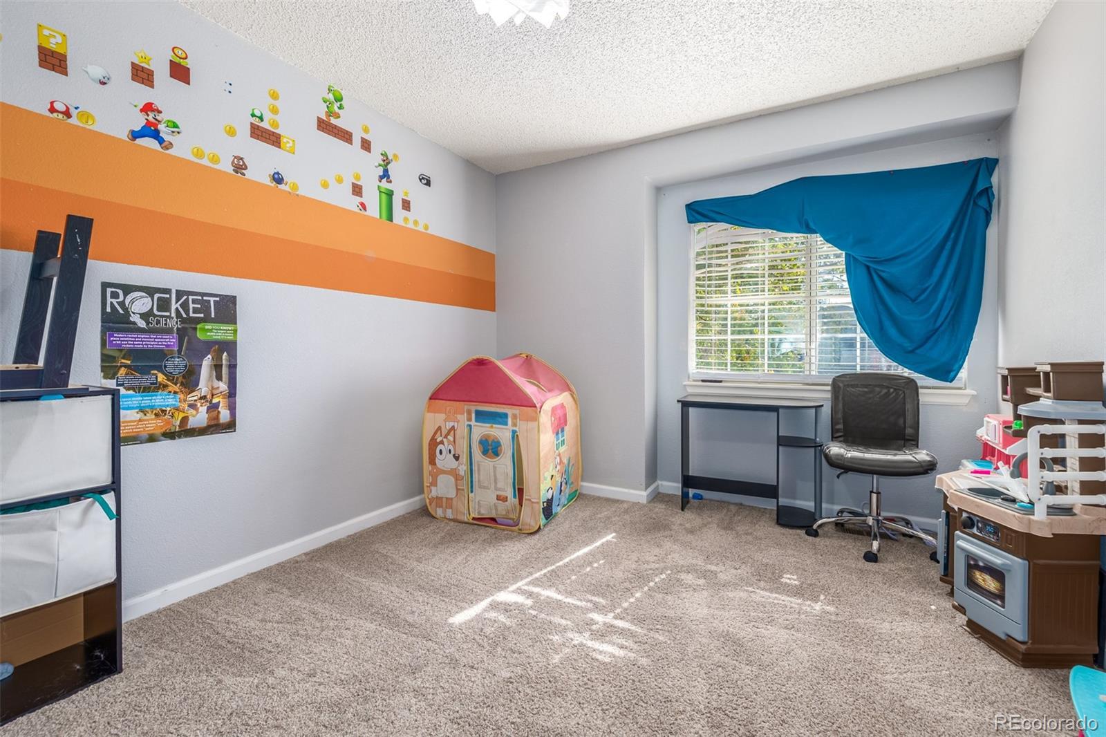 MLS Image #23 for 20189 e berry lane,centennial, Colorado