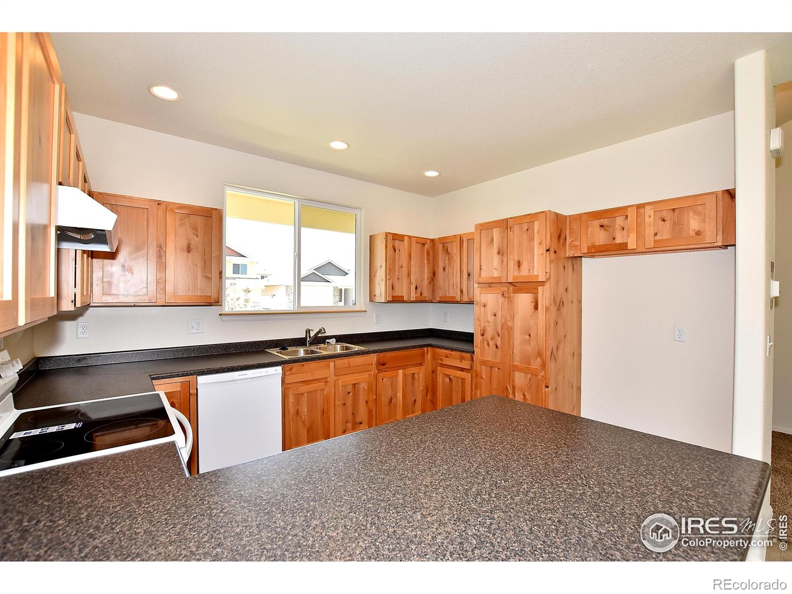 MLS Image #13 for 2376  candence lane,windsor, Colorado