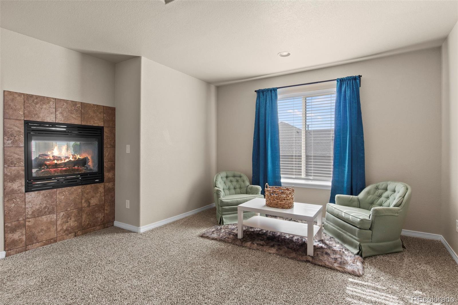 MLS Image #19 for 12749  mt harvard drive,peyton, Colorado