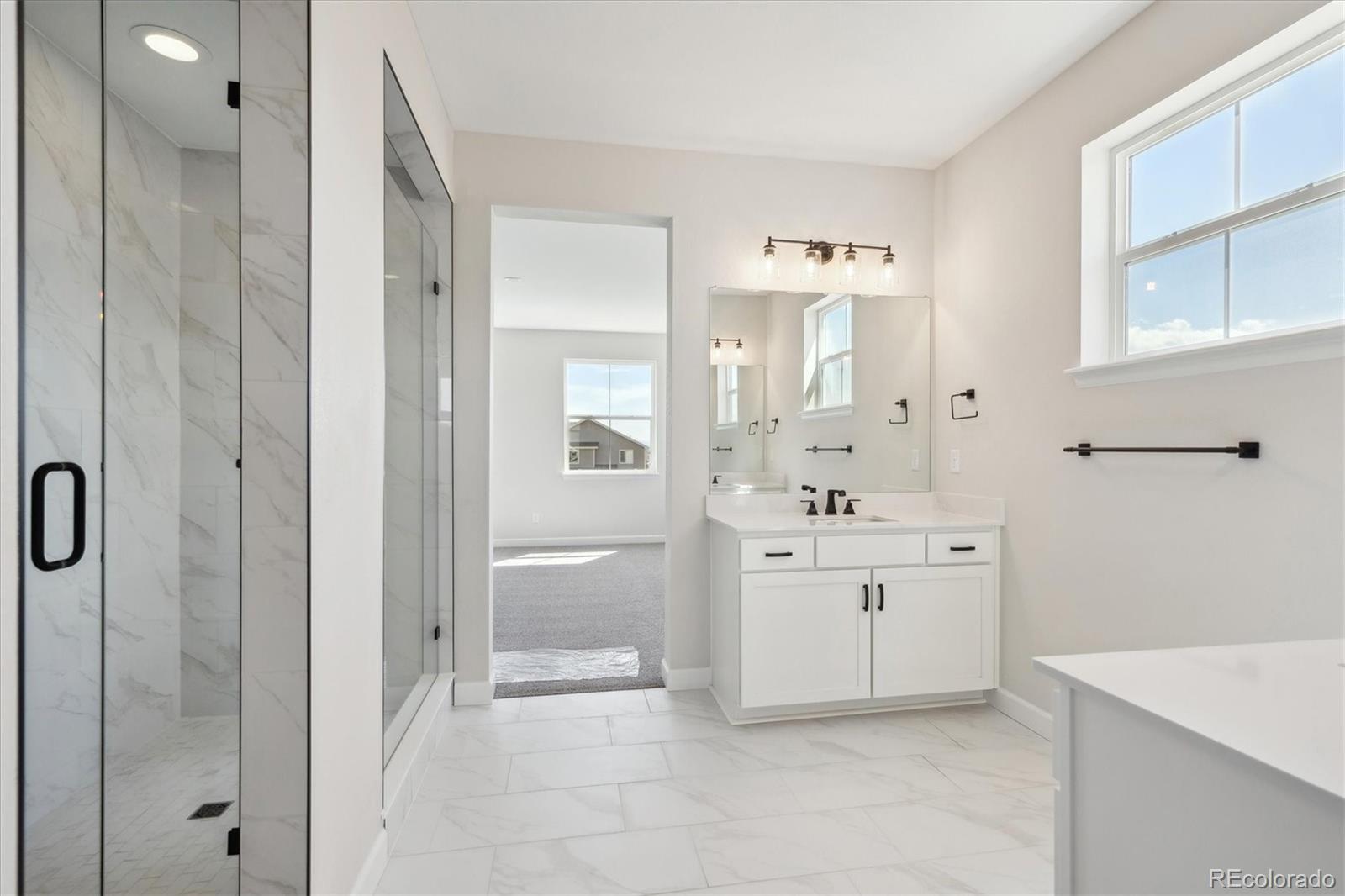 MLS Image #13 for 1317  alyssa drive,timnath, Colorado