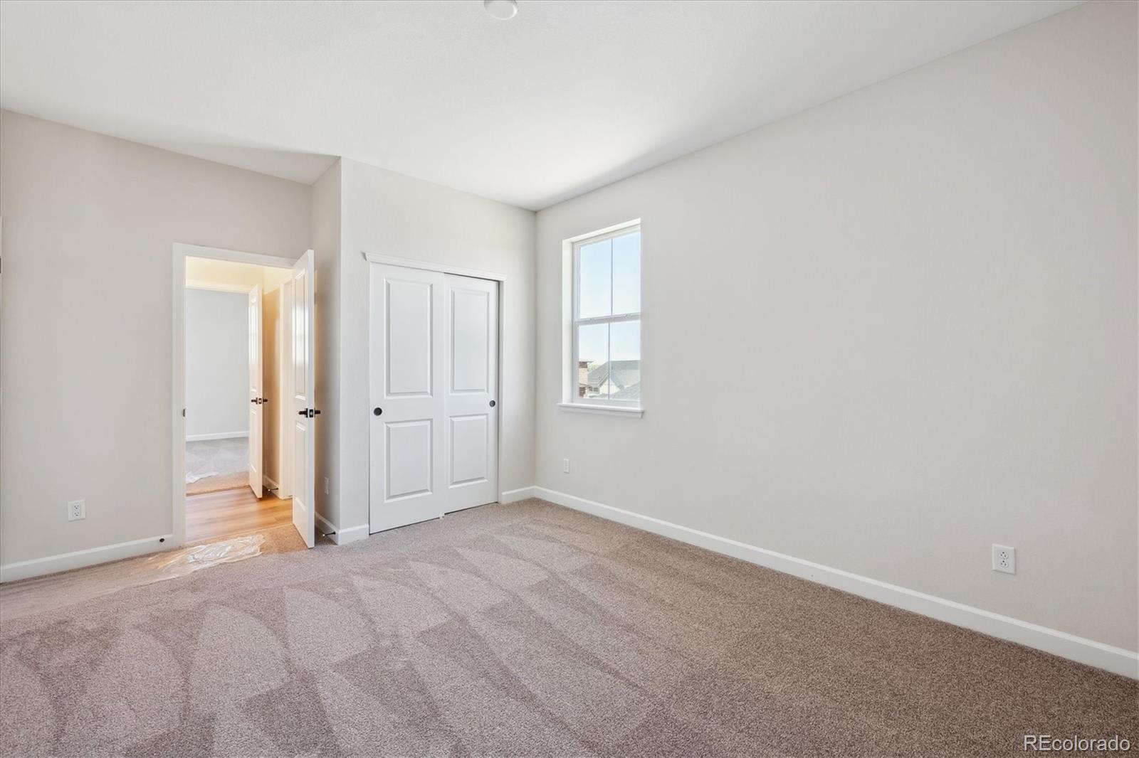 MLS Image #15 for 1317  alyssa drive,timnath, Colorado