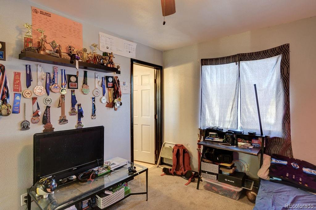 MLS Image #32 for 133  windwalker road,buena vista, Colorado