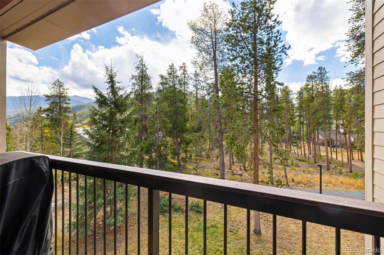 MLS Image #14 for 240  tennis club road,dillon, Colorado