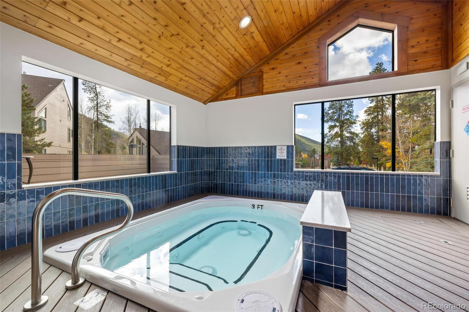 MLS Image #15 for 240  tennis club road,dillon, Colorado