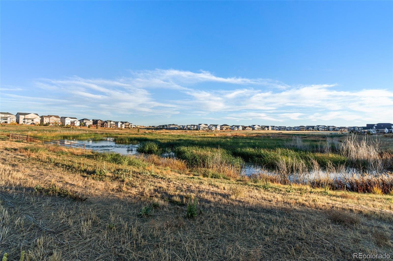 MLS Image #43 for 601  bear peak court,erie, Colorado